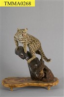 石虎藏品圖，第6張